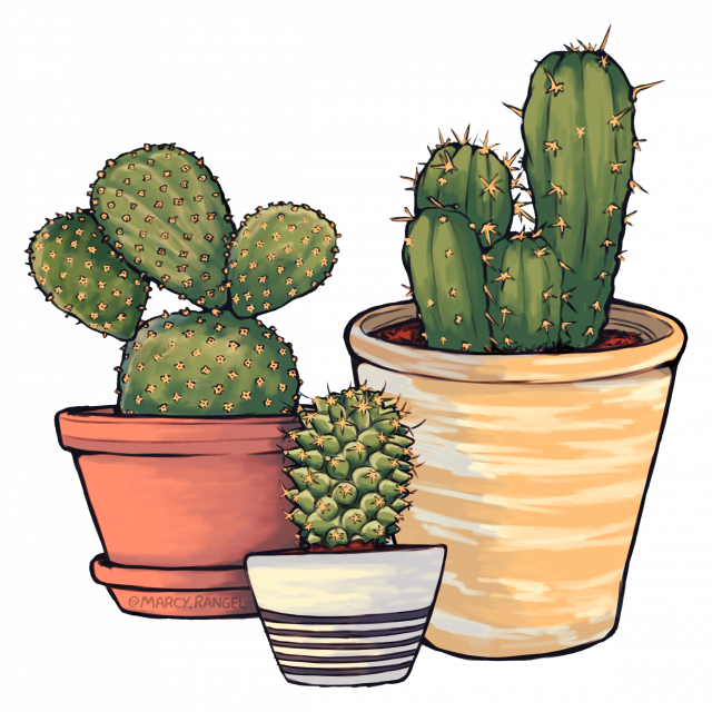 camiseta de cactos